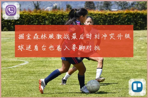 掘金森林狼激战最后时刻冲突升级球迷看台也卷入拳脚对抗